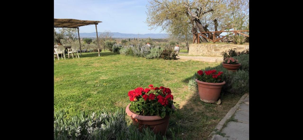 Agriturismo La Posta Reale Castiglion Fibocchi Luaran gambar