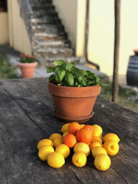 Agriturismo La Posta Reale Castiglion Fibocchi Luaran gambar