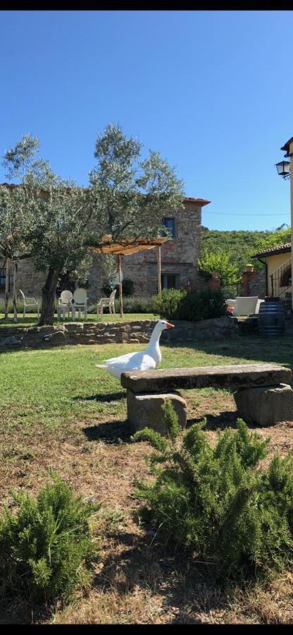 Agriturismo La Posta Reale Castiglion Fibocchi Luaran gambar