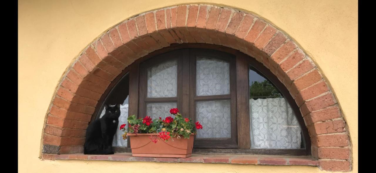 Agriturismo La Posta Reale Castiglion Fibocchi Luaran gambar