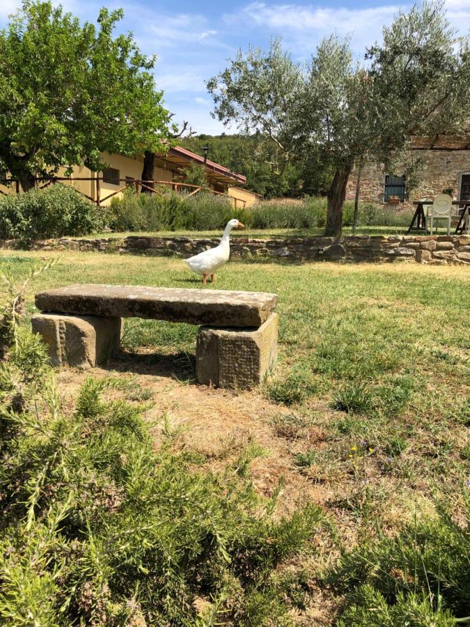 Agriturismo La Posta Reale Castiglion Fibocchi Luaran gambar