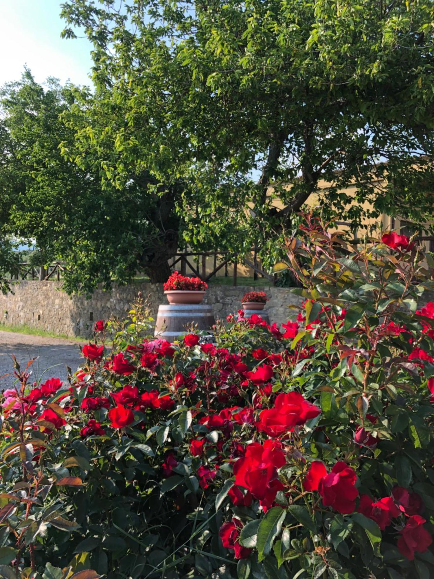 Agriturismo La Posta Reale Castiglion Fibocchi Luaran gambar