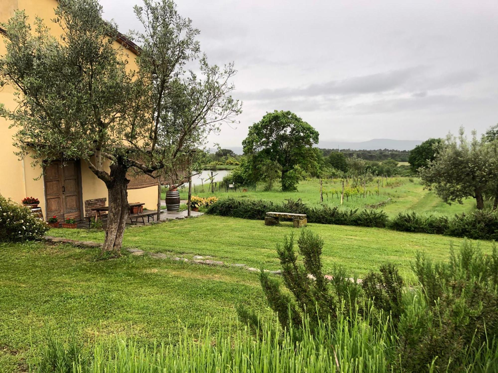 Agriturismo La Posta Reale Castiglion Fibocchi Luaran gambar