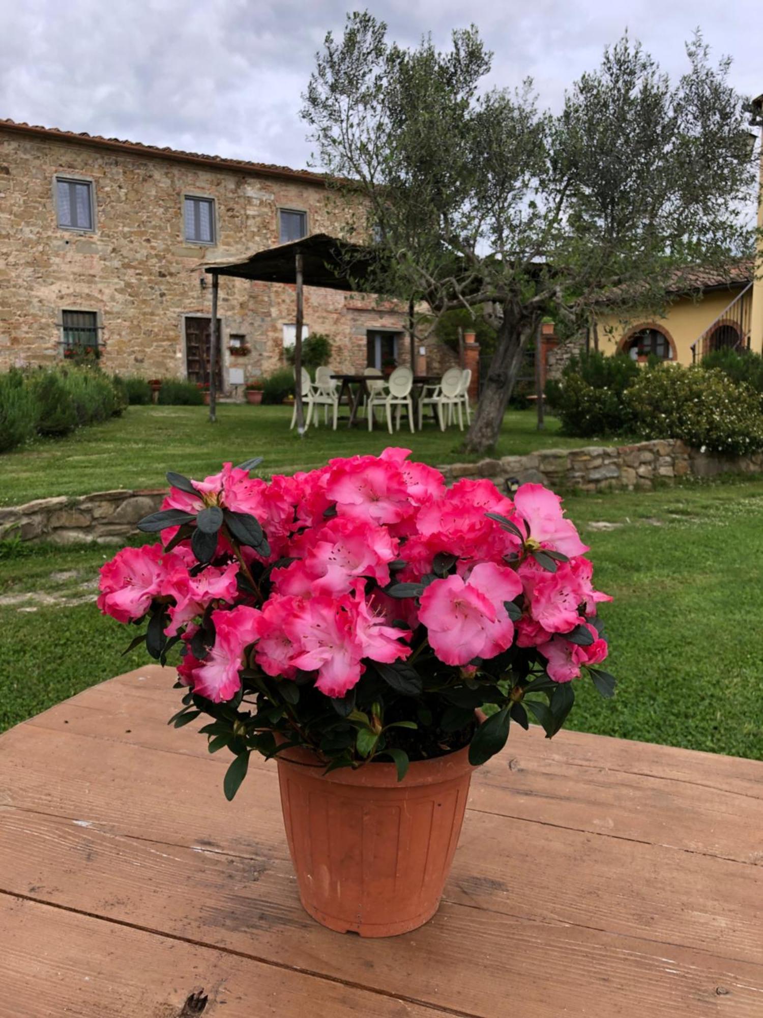 Agriturismo La Posta Reale Castiglion Fibocchi Luaran gambar