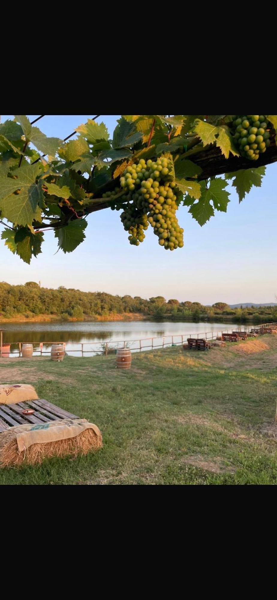 Agriturismo La Posta Reale Castiglion Fibocchi Luaran gambar
