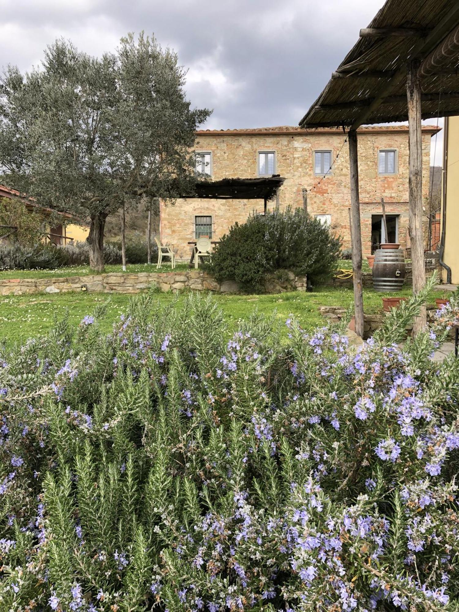 Agriturismo La Posta Reale Castiglion Fibocchi Luaran gambar