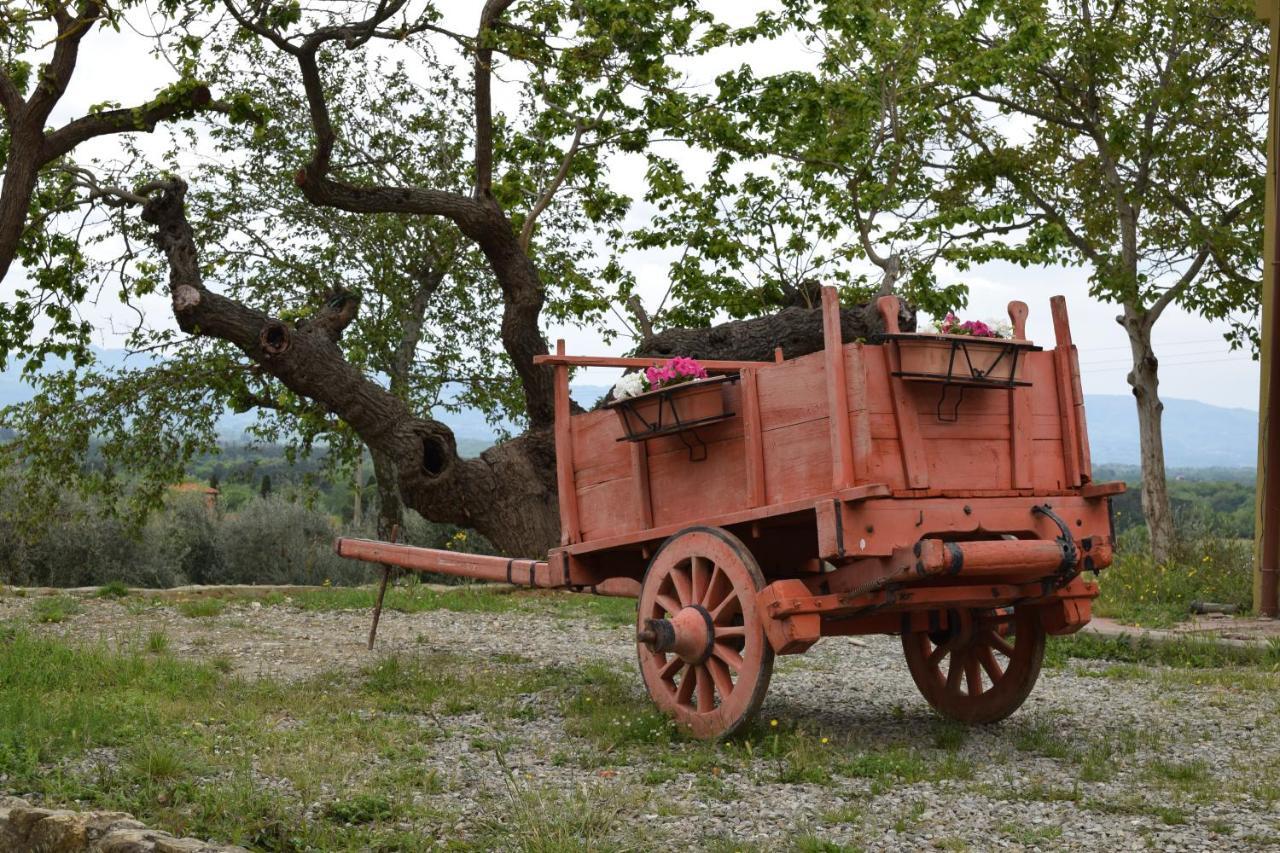 Agriturismo La Posta Reale Castiglion Fibocchi Luaran gambar